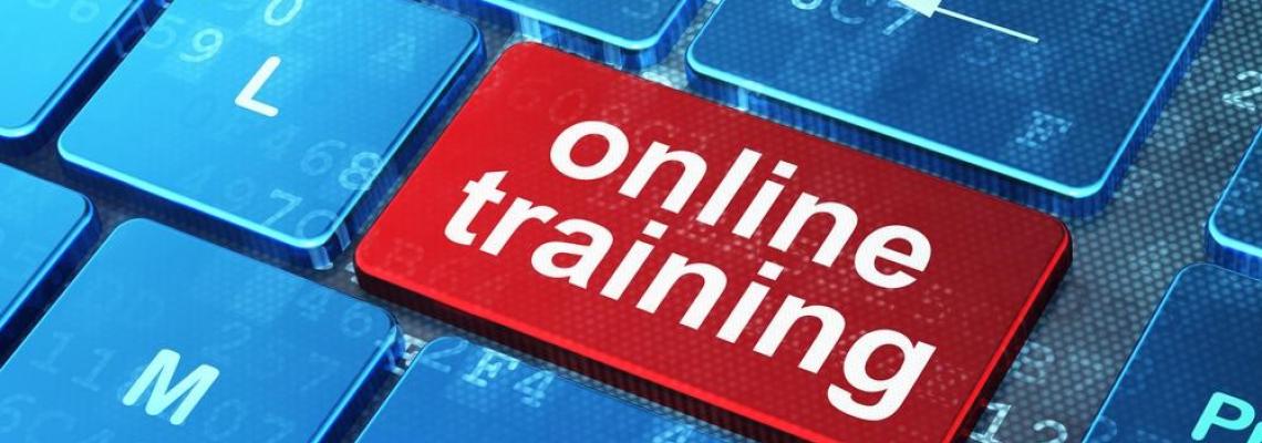 Online Training 