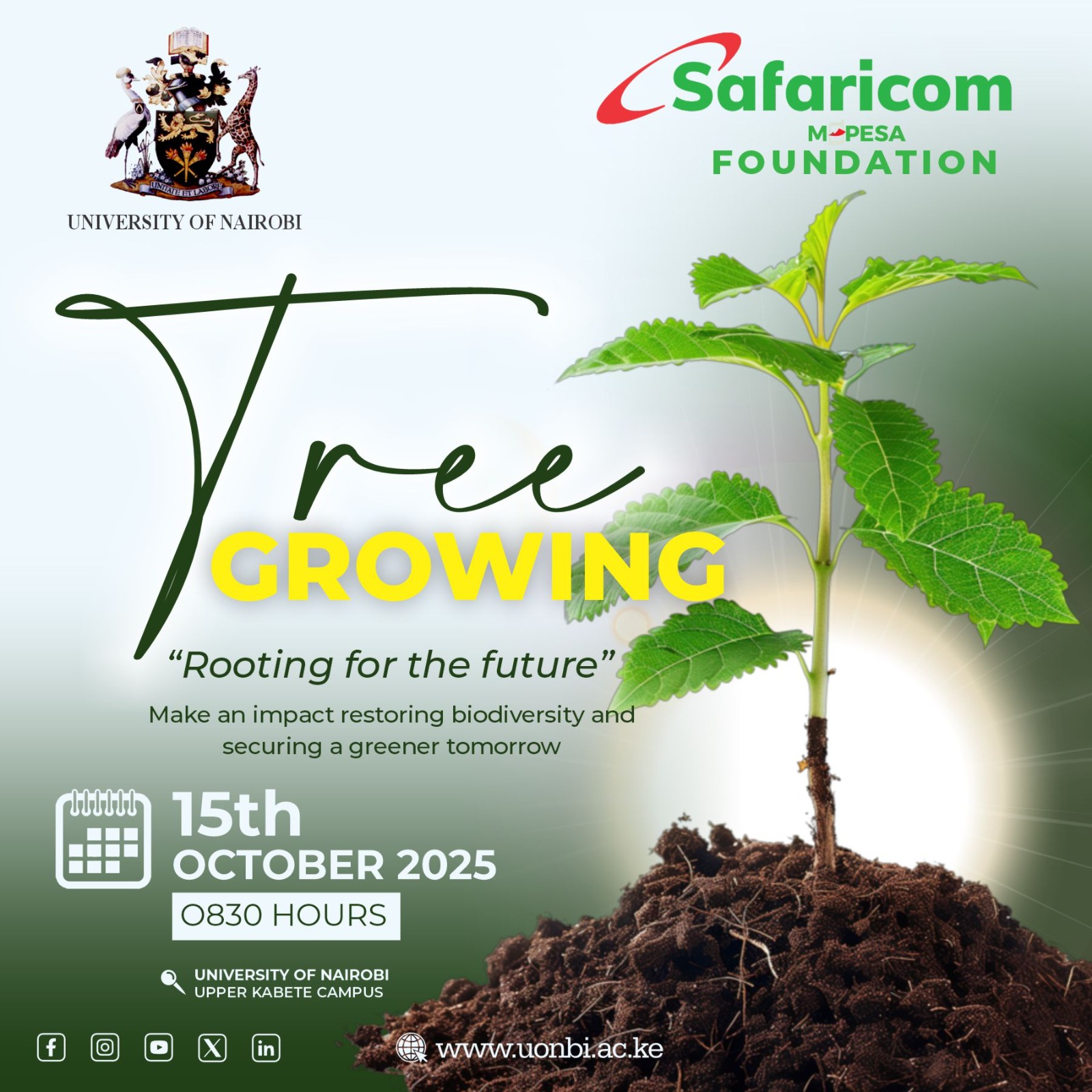 Tree planting 