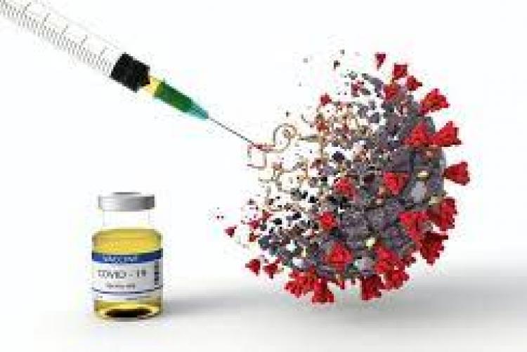 covid -19  vaccine 