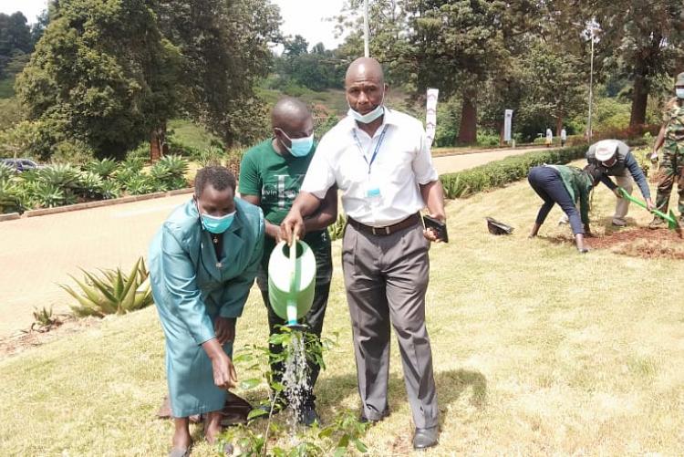 TREE PLANTING AT WANGARE MAATHAI INSTITUTE 