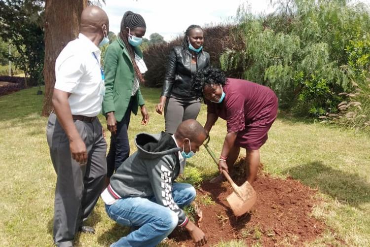 TREE PLANTING AT WANGARE MAATHAI INSTITUTE 