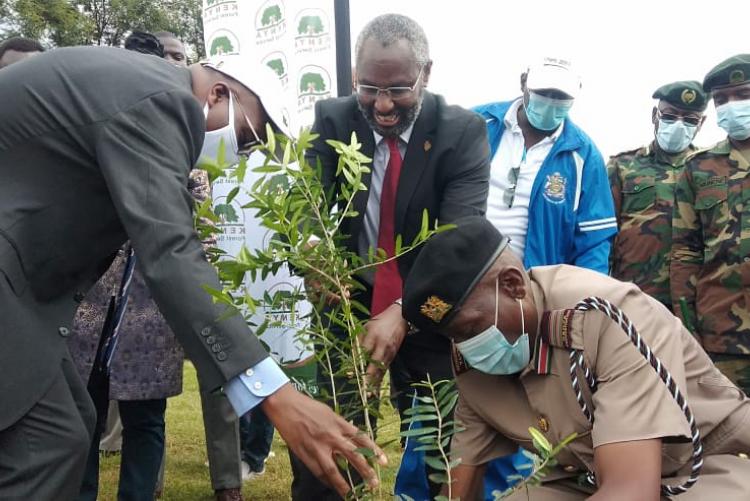 TREE PLANTING AT WANGARE MAATHAI INSTITUTE 