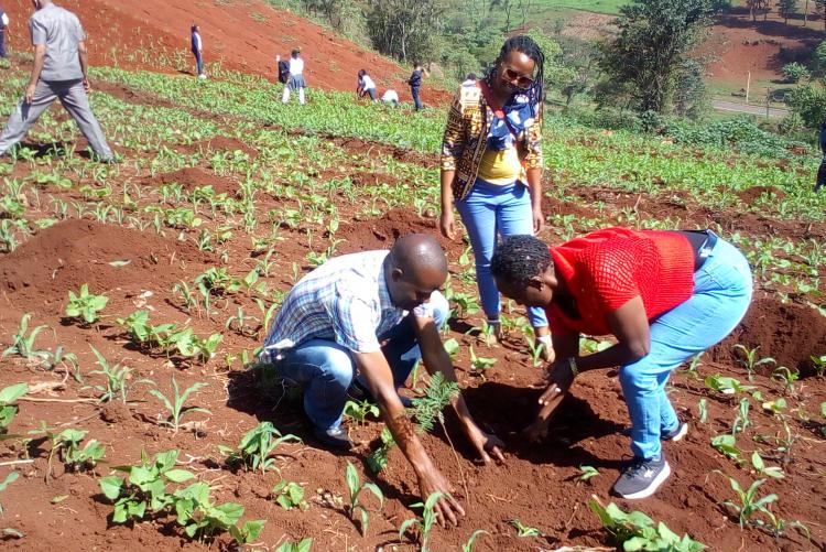 Annual tree planting