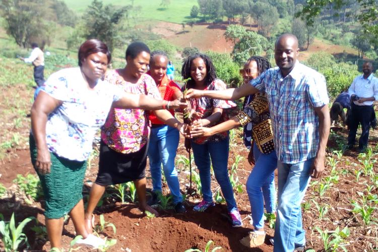 group photo - Annual tree planting