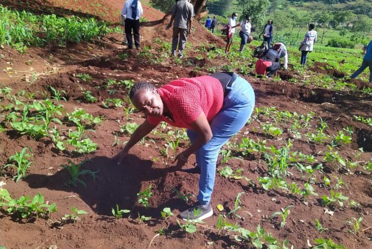 Ms Alice Wanjiru
