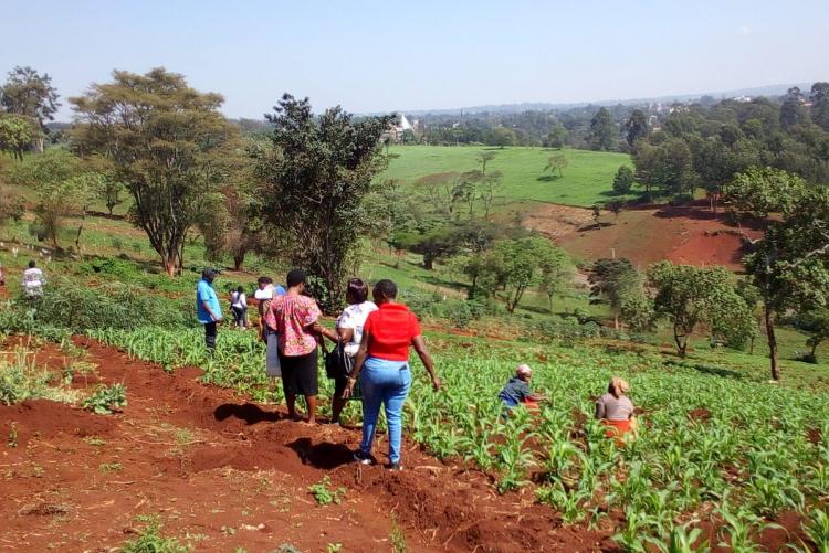 Annual tree planting 