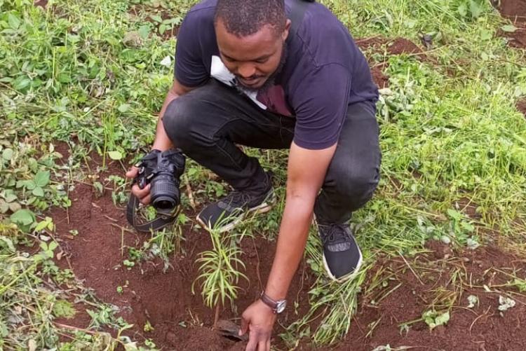 During Ict staff tree planting day 2023