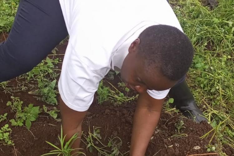 During Ict staff tree planting day 2023