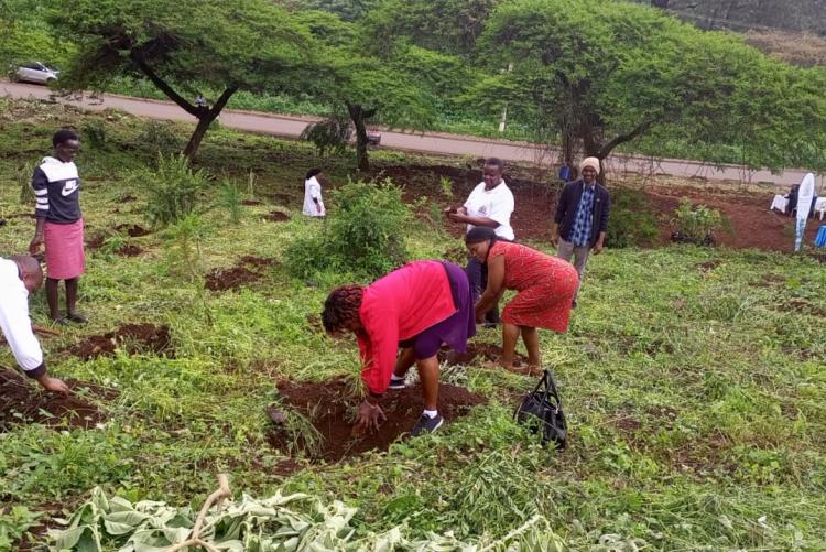 During Ict staff tree planting day 2023