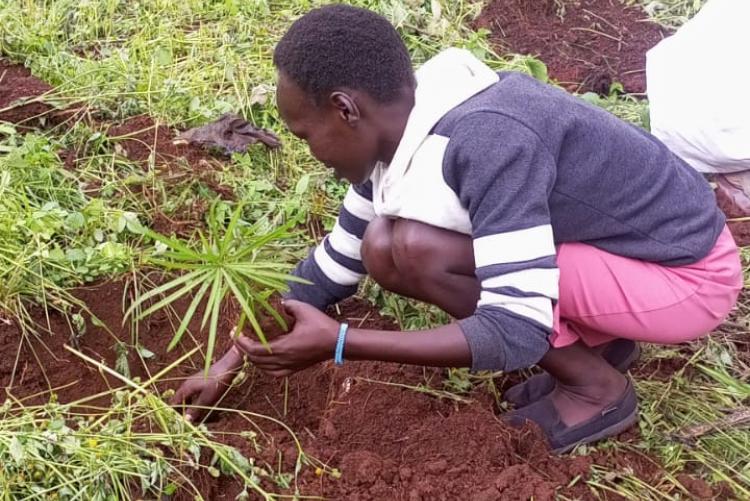 During Ict staff tree planting day 2023